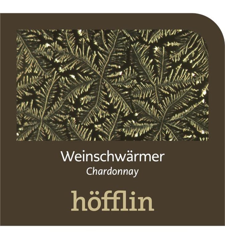 Weinschwärmer Chardonnay - Weingut Höfflin - matthias-und-julius-hofflin 