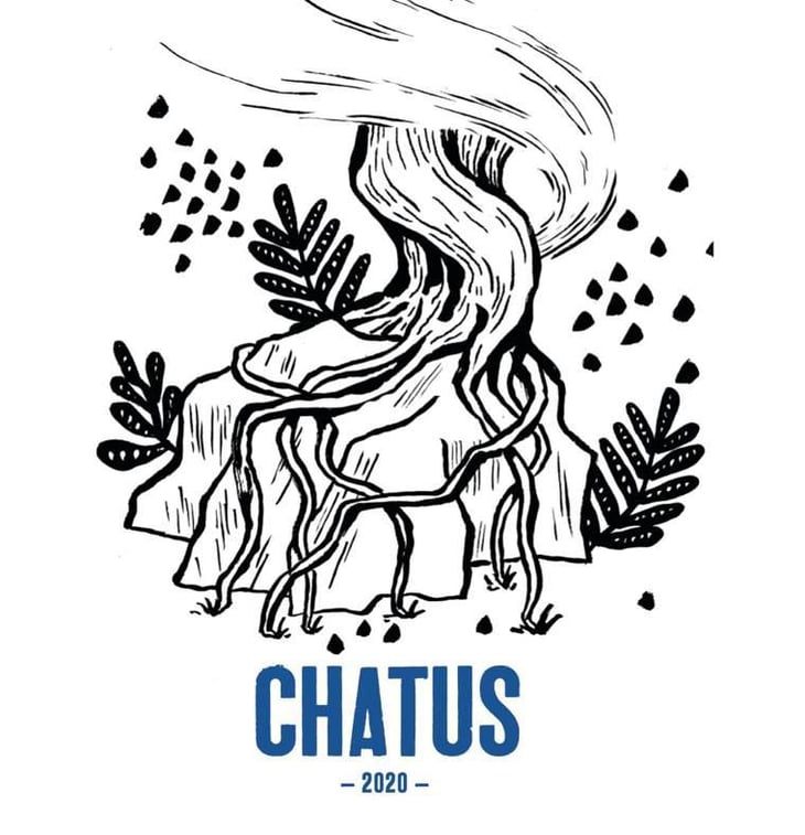 Chatus - Domaine le Pigeonnier - jocelyn-vigouroux 