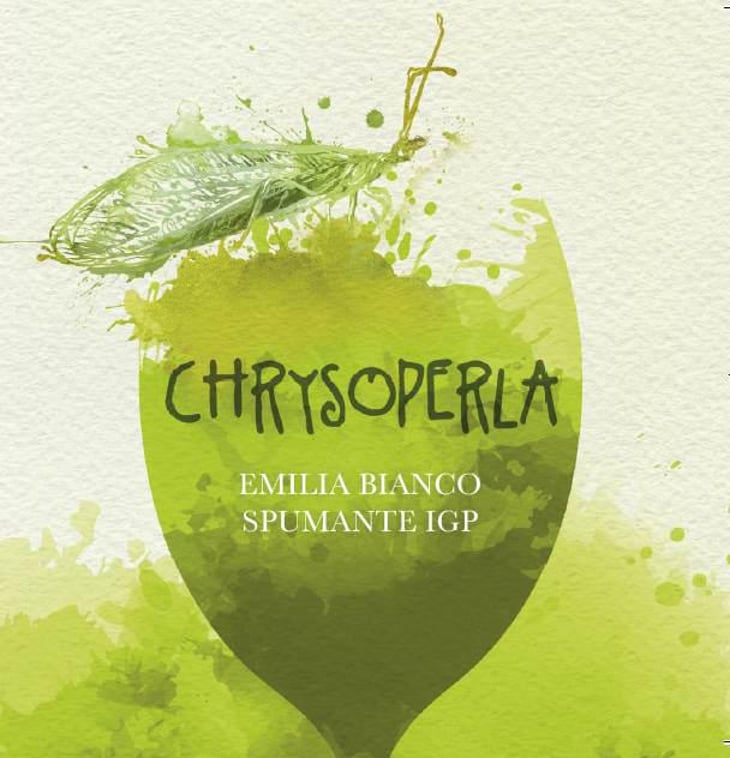Chrysoperla - Podere Cervarola - andrea-della-casa -2020