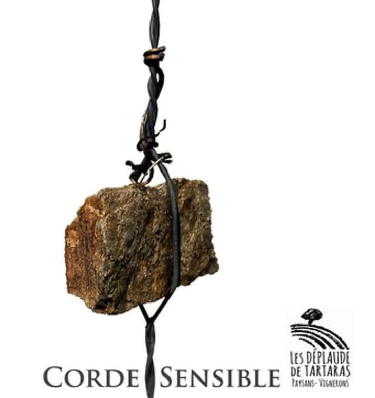 Corde Sensible - Les Déplaude de Tartaras - anne-pierre-andre-deplaude 