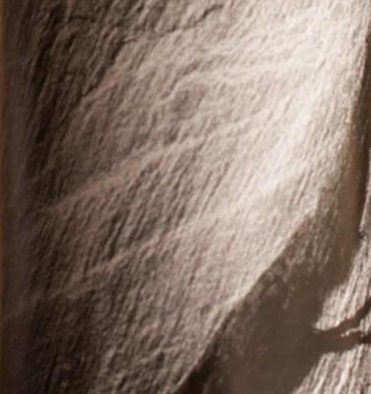 Corelium - Terra de Ningù Wines - toni-cuspinera 
