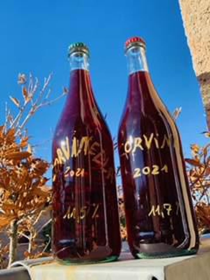 CORVINA - Sandro Poletti - sandro-poletti 