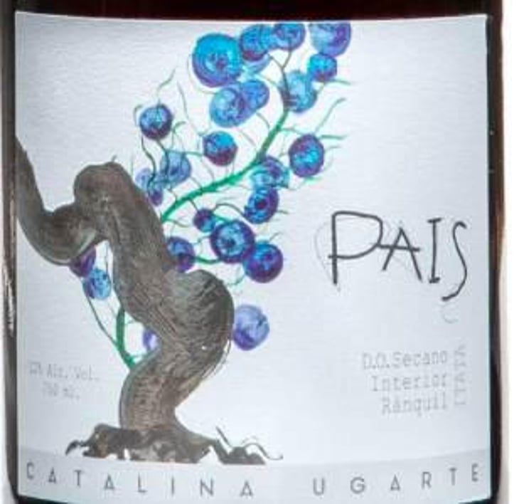 Pais - Catalina Ugarte - catalina-ugarte 