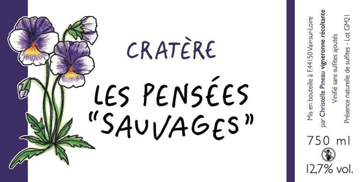 Cratère - Les Pensées "sauvages" - christelle-pineau 