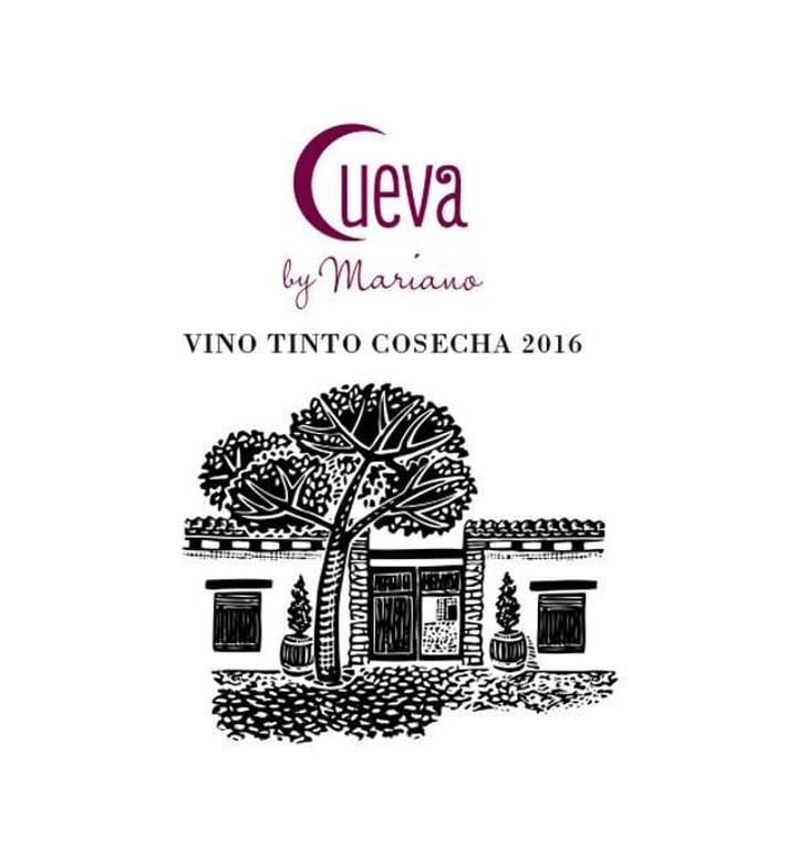 Cueva by Mariano 2016