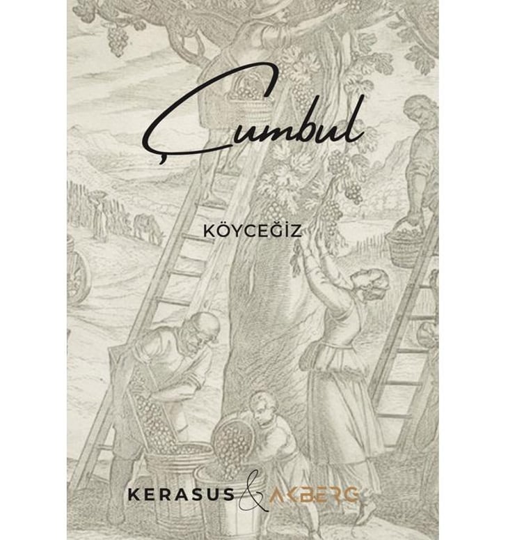Çumbul - Kerasus Wine - gizem-duyar 