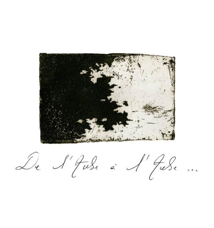 De l'Aube a l'Aube - Les Fauvettes - maryse-chatelin 