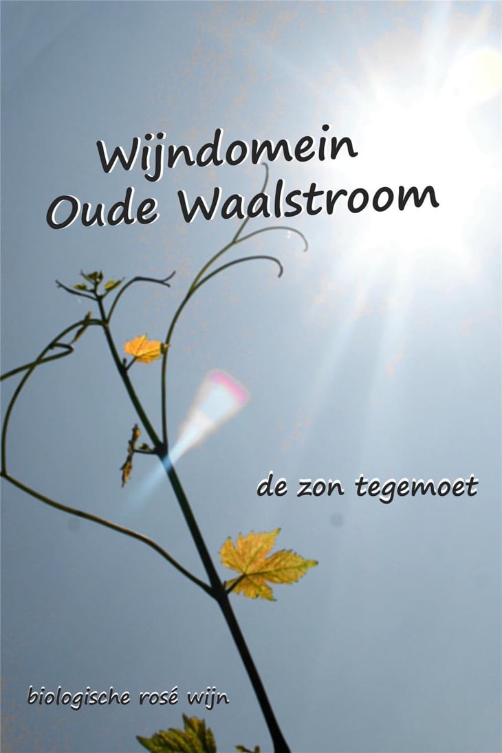 De Zon Tegemoet - Wijndomein Oude Waalstroom - huib-overmars-lotte-rippen 
