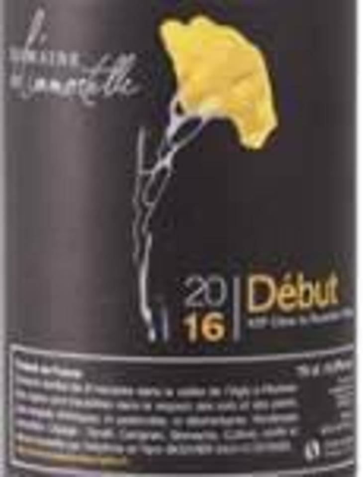 Debut - Domaine De L'immortelle - delphine-yann-bouvier 