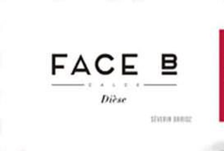 Dièse - Face B - severin-barioz-mathilde-barioz-ceccon 