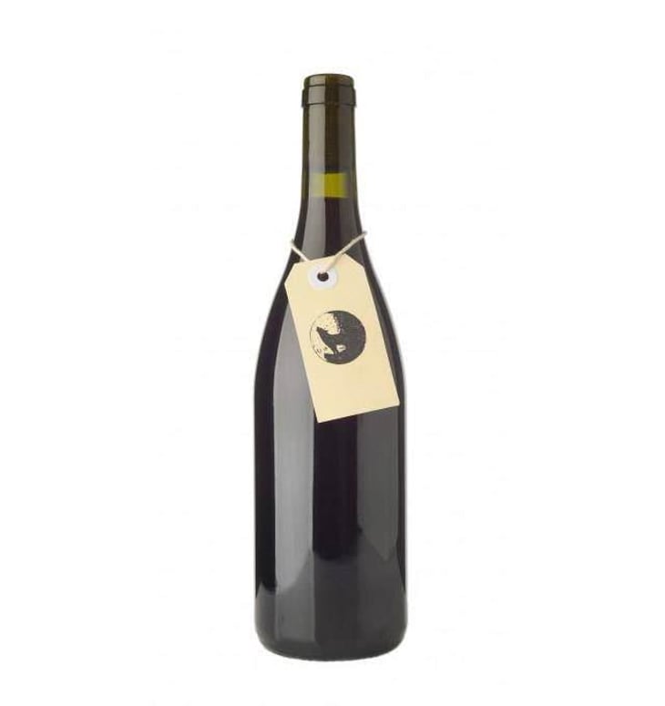 Dirty Little Pinot - Cambridge Road Vineyard - lance-redgwell 
