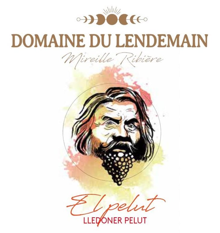 El pelut - Domaine du Lendemain - mireille-ribiere -2021