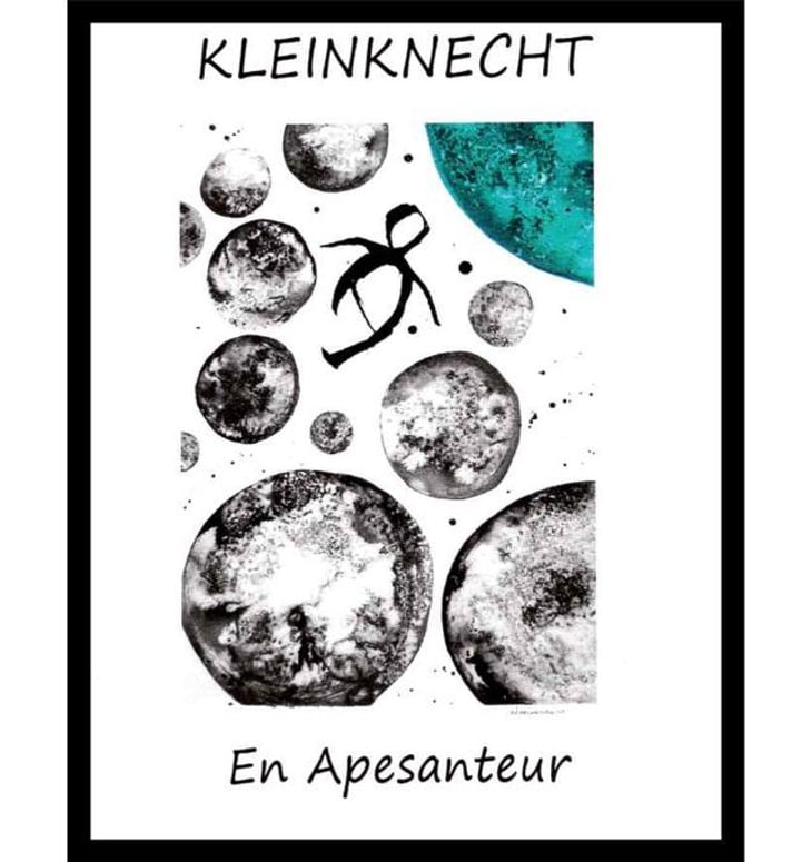 En Apesanteur - Extra Brut - Domaine Kleinknecht - andre-kleinknecht 