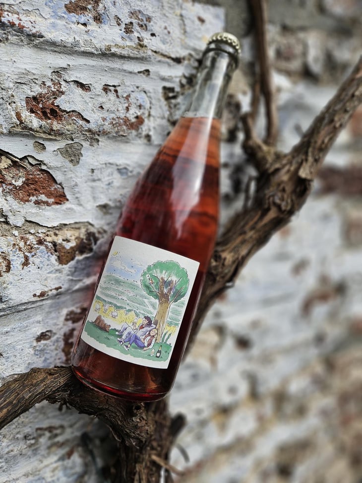En Bullant VSIG rosé - L’arbuissonière - jean-de-rotalier 