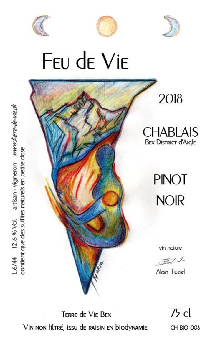 Feu de Vie - Collectif Terre de Vie - alain-tuiciel -2016
