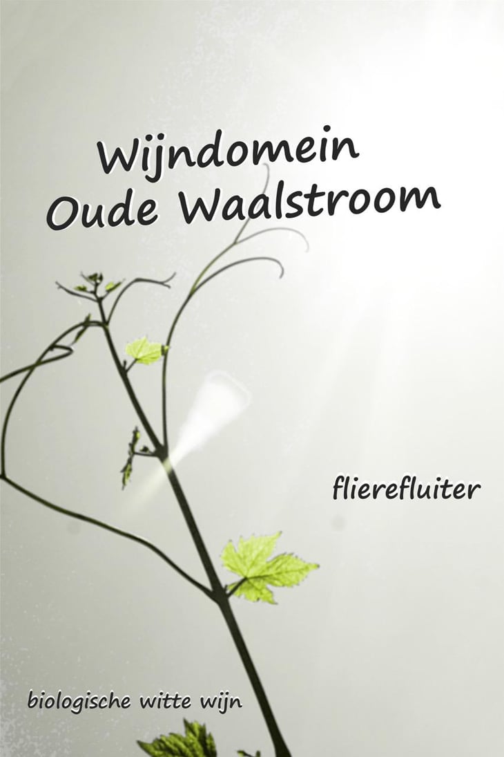 Flierefluiter - Wijndomein Oude Waalstroom - huib-overmars-lotte-rippen 