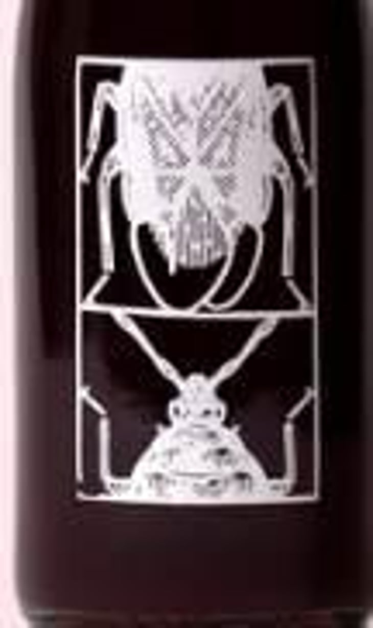 Focus - Pet Nat - Fin Wines - jonjo-mcevoy-oliver-johns-angus-hean 