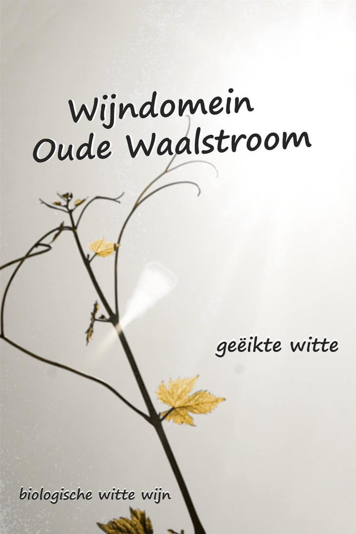 Geëikte Witte - Wijndomein Oude Waalstroom - huib-overmars-lotte-rippen 