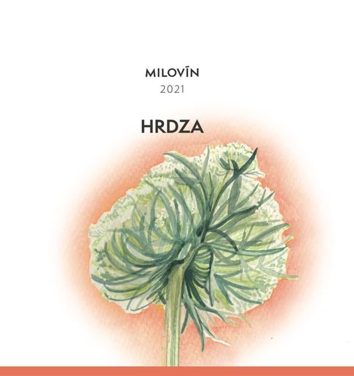 Hrdza - Vinárstvo Milovín - marek-tomas-cielontko 