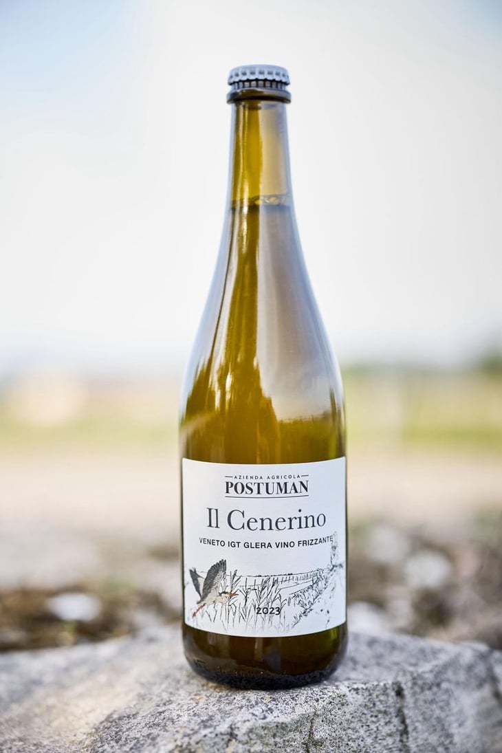 Il Cenerino - Azienda Agricola Postuman di Marinello Riccardo - riccardo-marinello 
