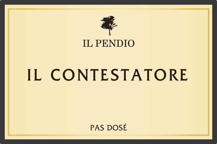 Il Contestatore - Il Pendio - michele-loda 