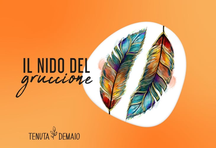 Il Nido del Gruccione - Tenuta Demaio - antonio-demaio 