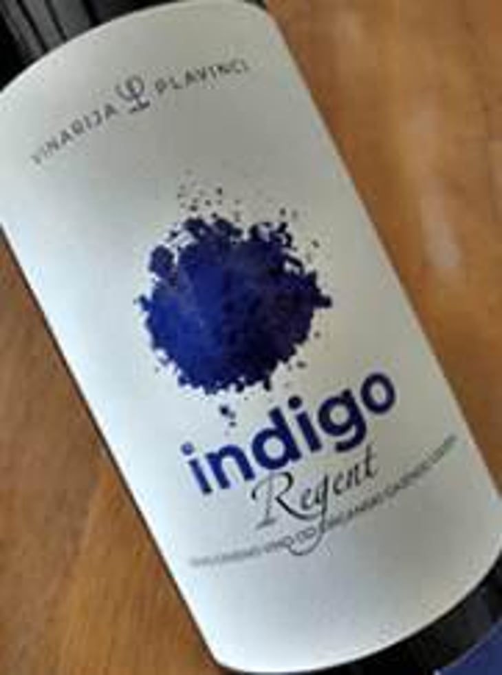 Indigo - Vinarija Plavinci - branislav-andjelic 