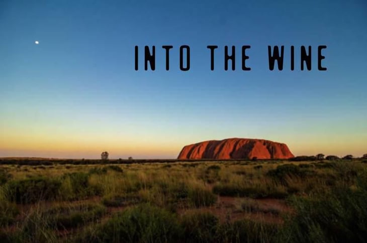 Into The Wine - Justine Vigne - justine-vigne 