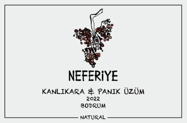 Kanlıkara Panık - Neferiye Wines - caglar-bozcaga 