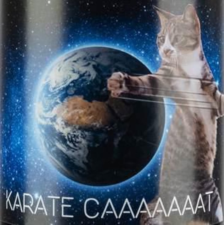 Karate Caaaaaaat (X Christophe Kaczmarek )