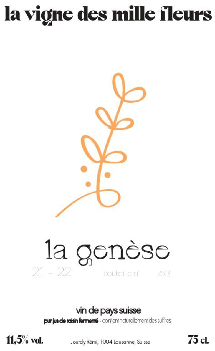 La Genèse - La Vigne des Mille Fleurs - remi-jourdy 