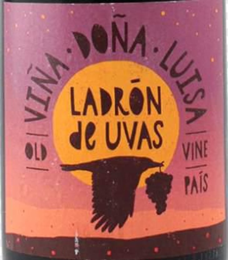 Ladron de Uvas - Viña Doña Luisa - patricio-cea 