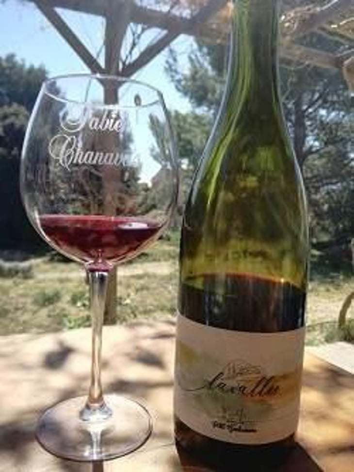 Lavallée - Domaine du petit bonhomme - fabien-chanavas 