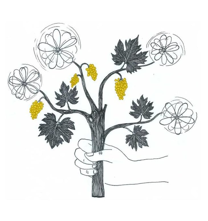 Le Vent du Ch’min - Domaine Eole - herve-bessiere 