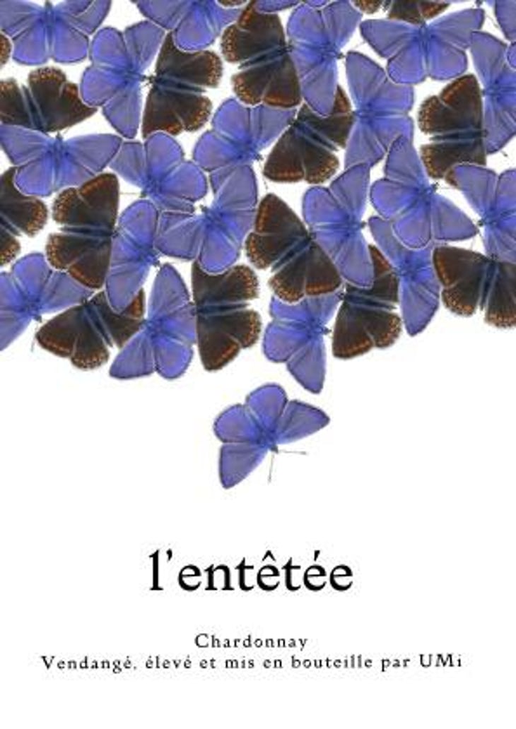 LʼEntêtée - UMi (Ursa Minor) (CLOSED) - chloe-martin-closed 