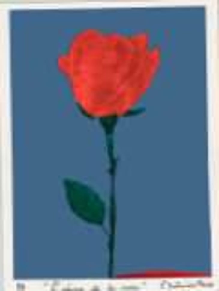 "L'Epine de la Rose" - Rose - Pais, Carménère - Pet Nat - L’Entremetteuse - laurence-real 