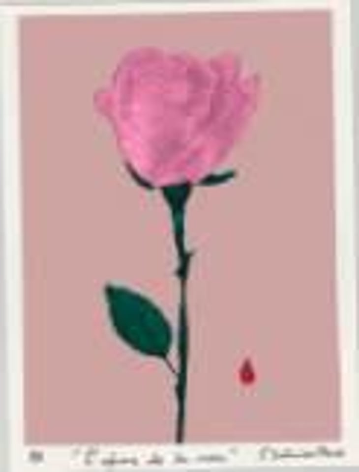 "L'Epine de la Rose" - Rose - Pais, Torrontel - Pet Nat - L’Entremetteuse - laurence-real 