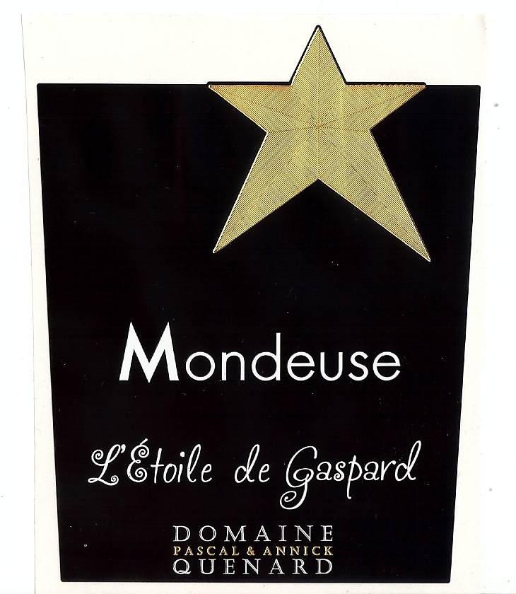 L’étoile de Gaspard - Pascal, Annick et Noé Quenard - pascal-annick-et-noe-quenard 