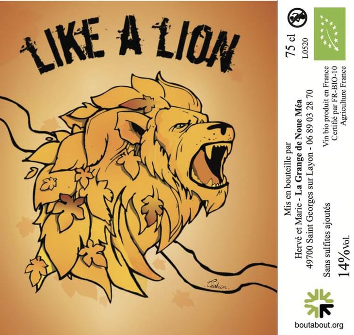 Like a Lion - La Grange de Noue Méa - marie-percevault-herve-bosse 