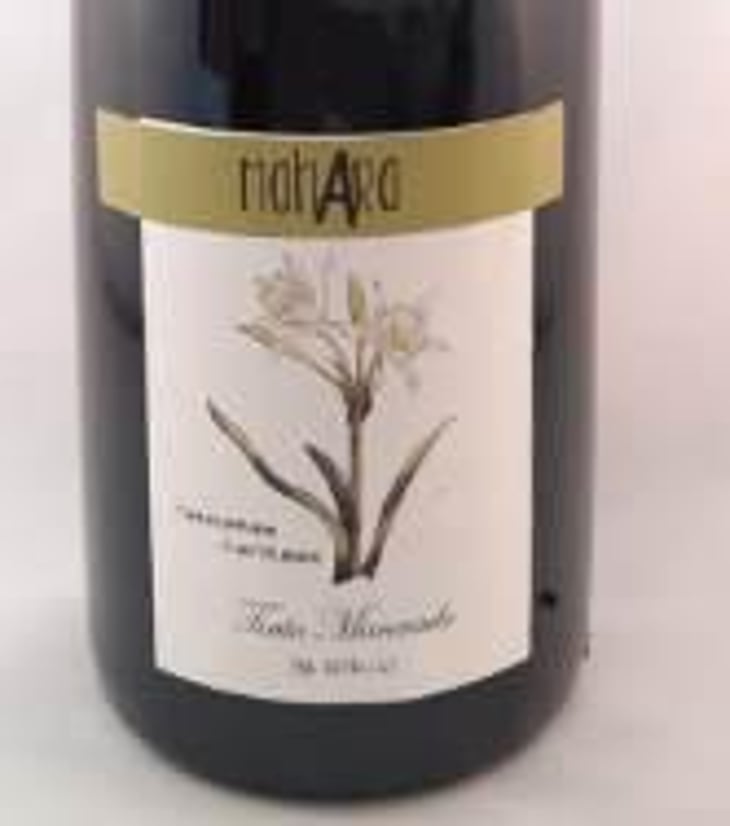 Lirio - Bodega Vinificate - Mahara Viticultores - jose-miguel-gomez 