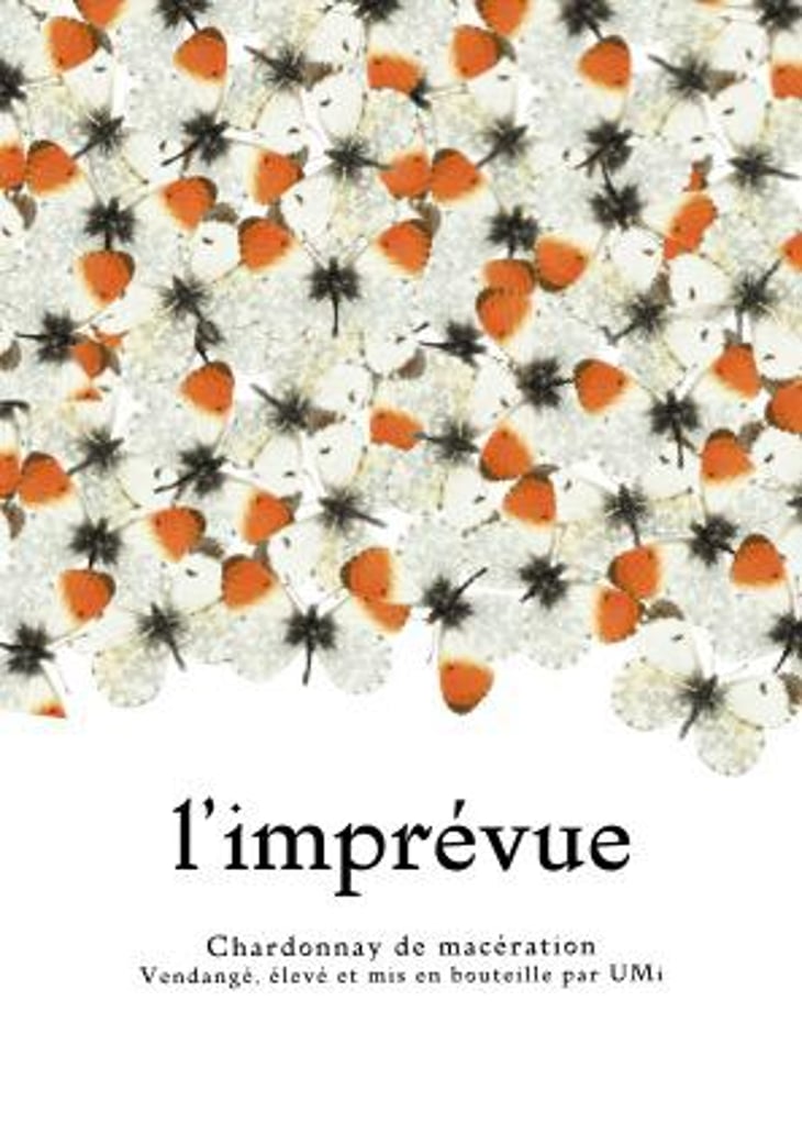 LʼImprévue - UMi (Ursa Minor) (CLOSED) - chloe-martin-closed 