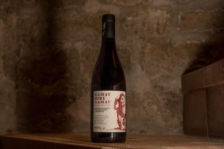 Gamay Dire Gamay - Chai L'insolent - francois-ecot -2020