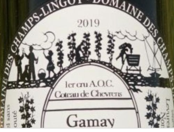 Gamay Sauvage - Domaine des Champs-Lingots - claude-alain-chollet 