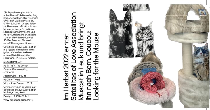 Looking for the Mouse - Satellites of Love Association - satellites-of-love 