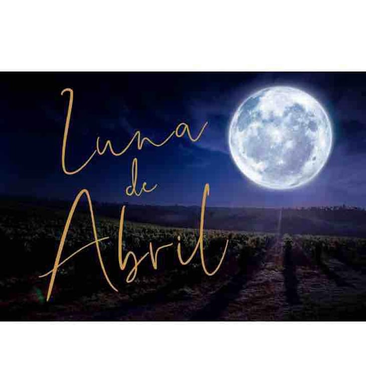 Luna de Abril - Bodega Toral - pablo-toral-gomez 
