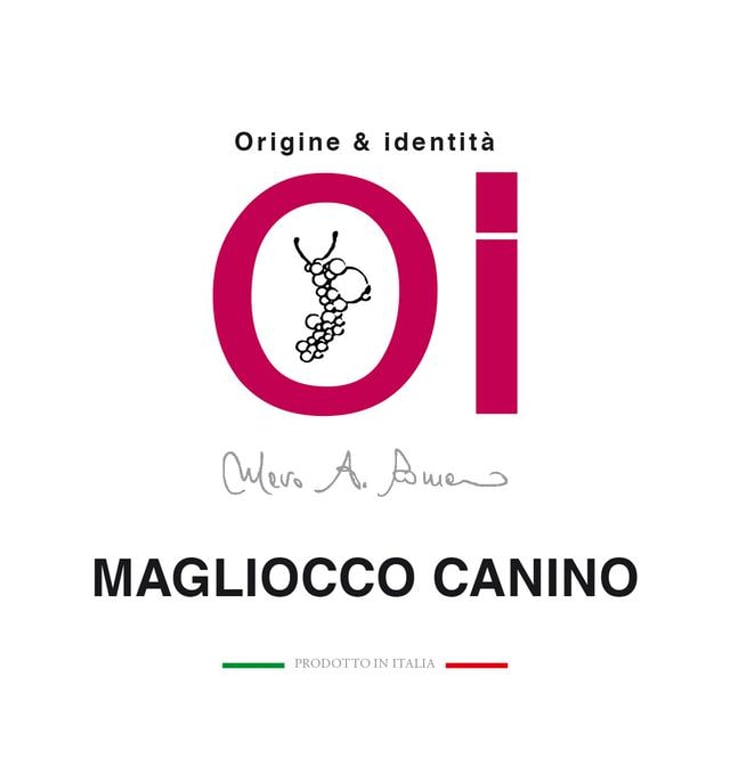 Magliocco Canino - Origine & Identità - mario-alberto-romano 
