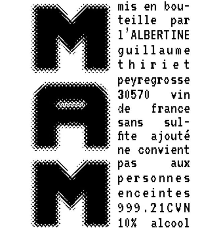 MAM - L'Albertine - guillaume-thiriet 