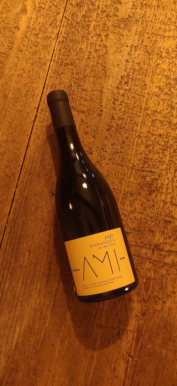 Maranges Au Bois Sud - Domaine Ami - paul-marchand-perarnau-willy-roulendes -2021