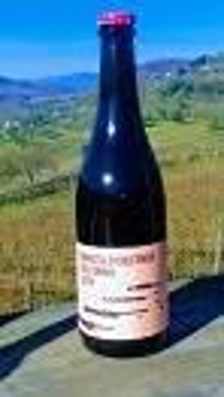 MARCELLO COLFONDO - Voltumna - marzio-politi 