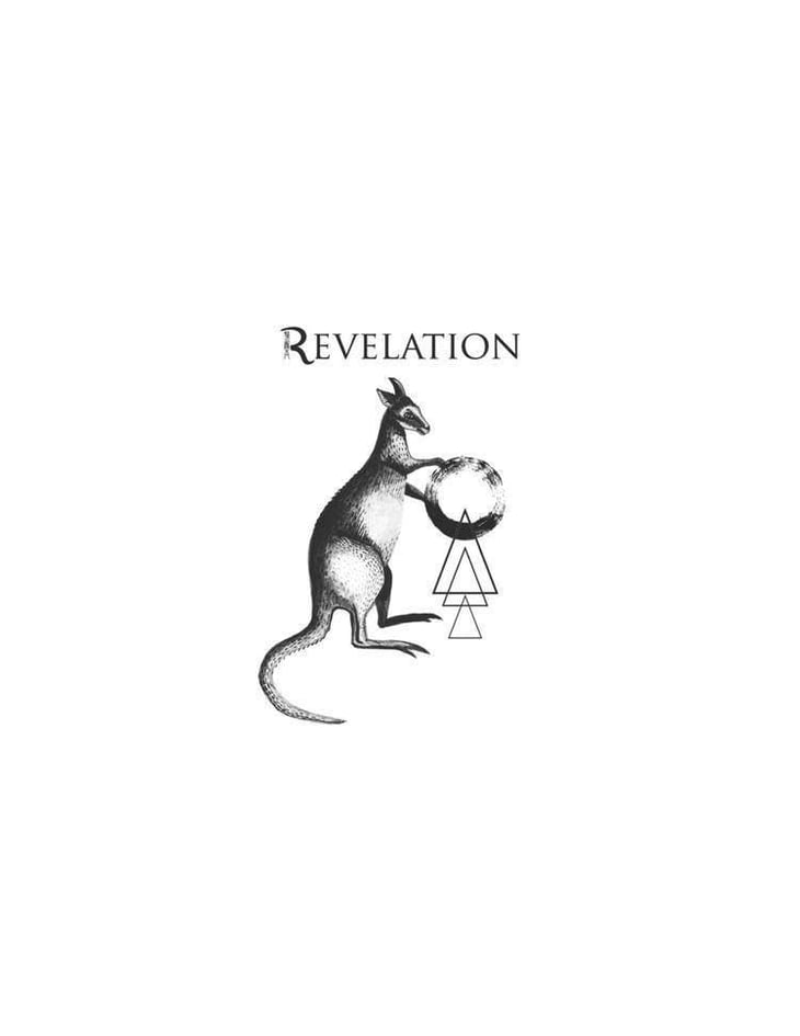 Merlot - Revelation - francois-ribaud 
